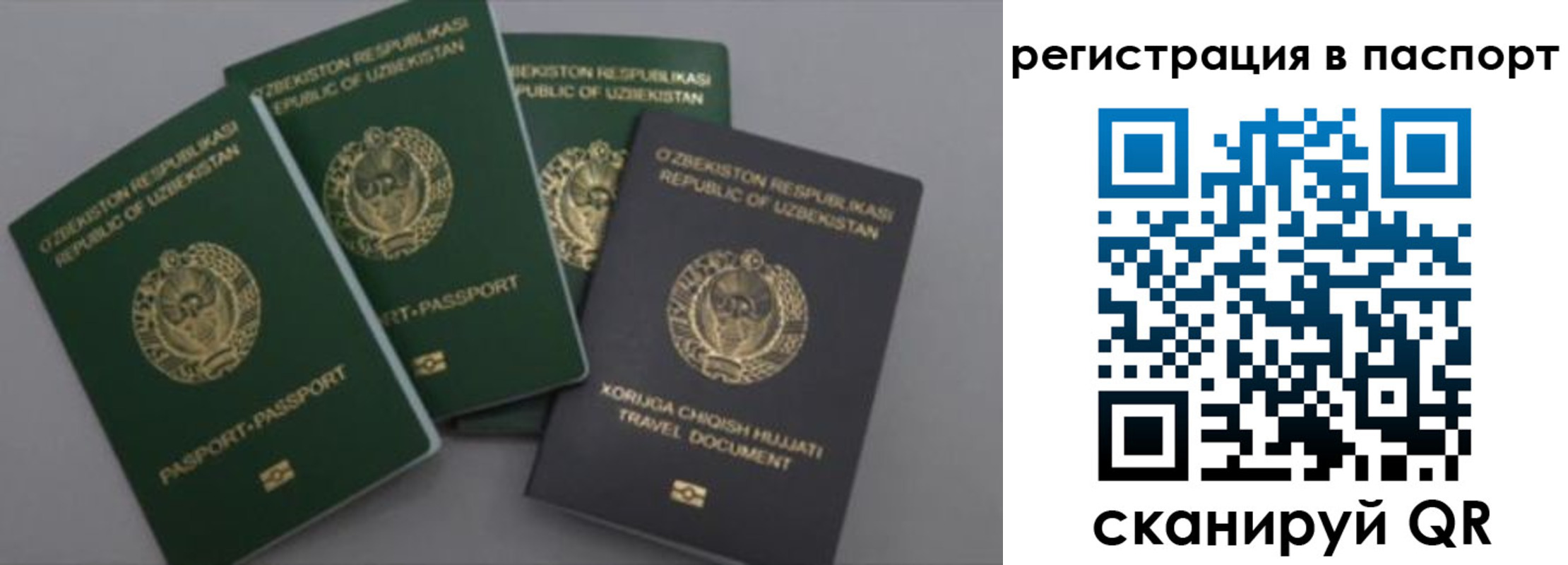прописка от собственника в Камешково